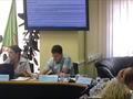 Заседание Отраслевого комитета БМЦ по нефтегазовой отрасли 27.07.2012